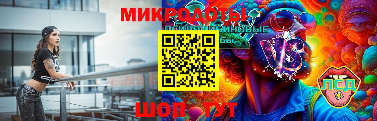 Псилоцибиновые грибы Psilocybine cubensis Новороссийск
