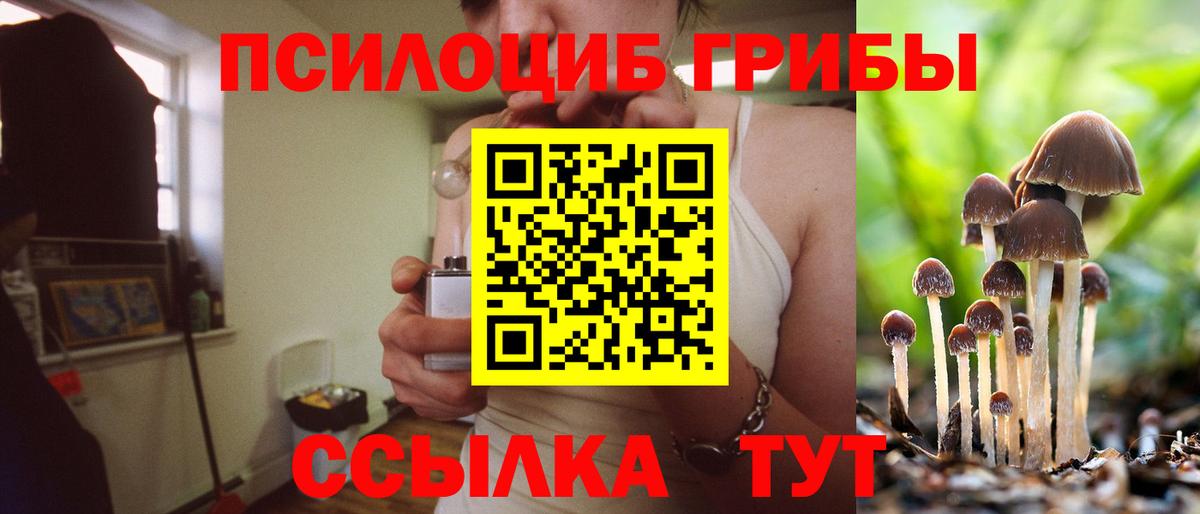 Галлюциногенные грибы Psilocybe  Вход с VPN  Новороссийск 