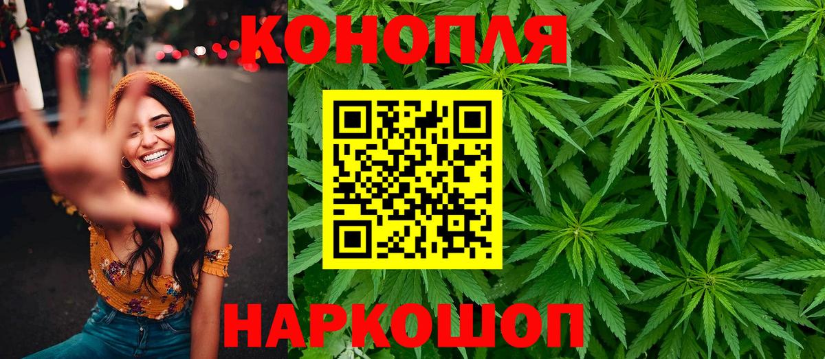 Шишки марихуана тримм  Вход с VPN  Новороссийск  Бошки Шишки семена 